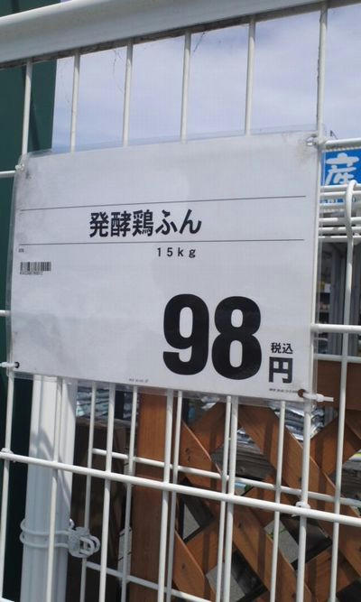 193c4822.jpeg