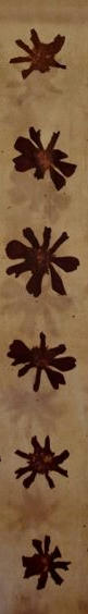 130531f8.jpeg