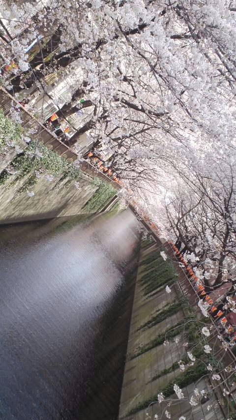 120405_1236_7E01.jpg