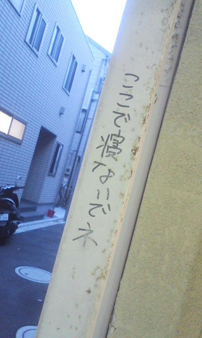 a931ee2d.jpeg