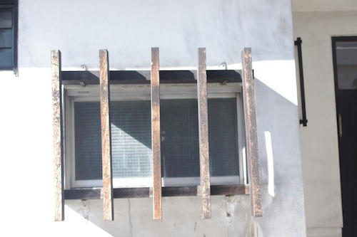 IMGP8710.JPG