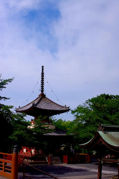 IMGP9595.JPG