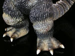 039f57d2.jpg