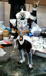 2010_12_27_09_46_05.jpg