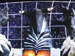 imagesCA9XIATK.jpg