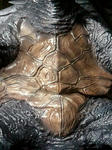 2012_03_07_23_32_43_convert_20120308225346.jpg