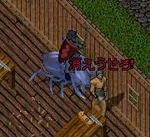 kieusero.JPG