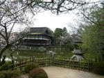 P1020550.JPG
