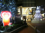 071123_222039_M.jpg