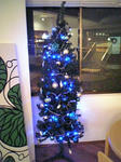 071201_200716_M.jpg