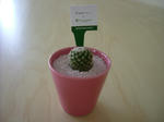 DSCF1611.JPG