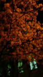 200803311939000.jpg