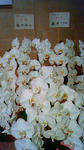 200805121526000.jpg