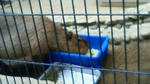 200806171025001.jpg