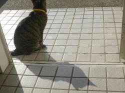 くう。