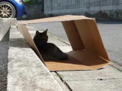 くう。