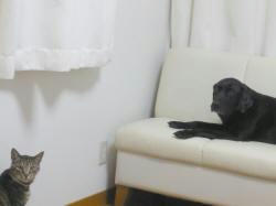 うみとくう。