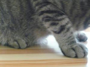 なぁな（くう）。