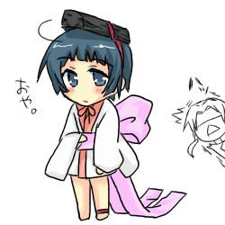 びんちょう菊