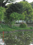 CIMG0259.JPG