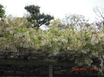 CIMG0304.JPG