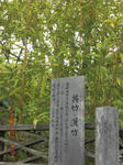 84a4345a.JPG