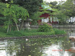 b579620c.JPG