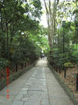 c338499f.JPG
