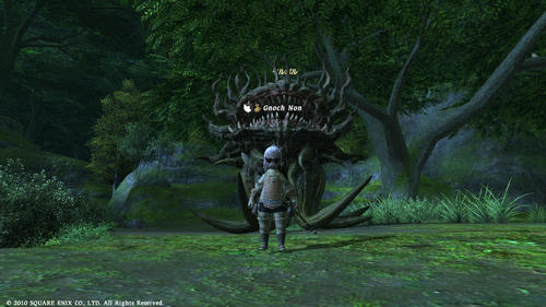 FFXIV_1286909931.jpg