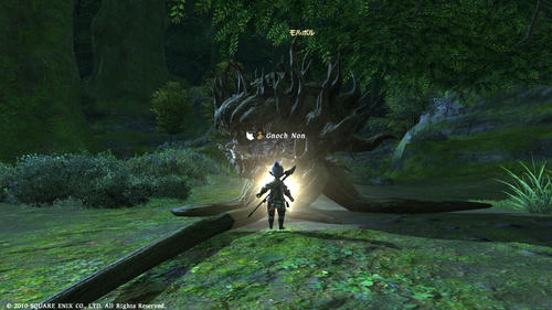 FFXIV_1286909935.jpg