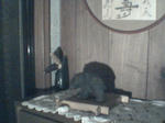 kum001.jpg