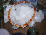 PA0_0057.JPG