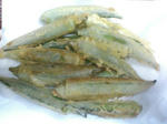 PA0_0135.JPG