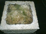 PA0_0178.JPG