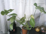 PA0_0197.JPG