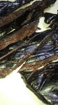 PAP_0266.JPG
