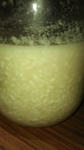 PAP_0267.JPG