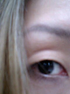 A081106_1929.jpg