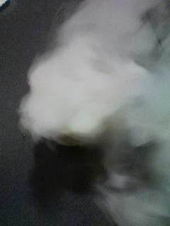 b7158839.jpeg
