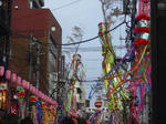 IMGP3186.JPG