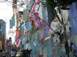 IMGP3152.JPG