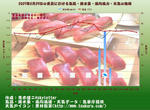 20070629tokyo.jpg