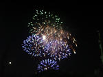 IMGP3951.JPG