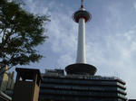 IMGP4149.JPG