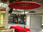 IMGP4156.JPG