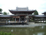 IMGP4364.JPG