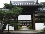 IMGP4647.JPG