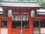 IMGP4748.JPG