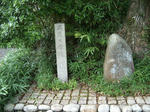 IMGP4773.JPG