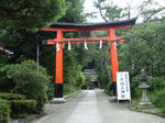 IMGP4776.JPG